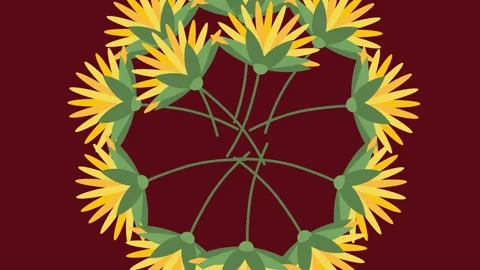 Draw set of yellow flower decorate with sunflower in round shape on maroon back Stock Footage 323311122