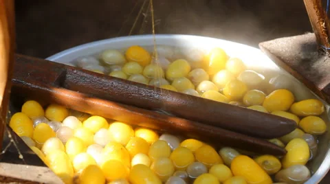 Draw the silk from cocoons boiling Stock Footage 33743998