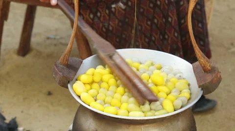 Draw the silk from cocoons worm boiling Stock Footage 45465956