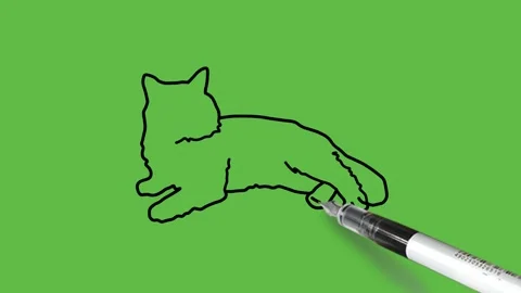 Draw sitting cat in light and dark grey color with pink ears and black outline Vidéo 220080894