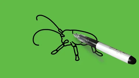 Draw small insect in light and dark grey color combination with black outline 動画素材 220081078