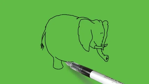Draw standing fat elephant with black outline on abstract green background 動画素材 236227705