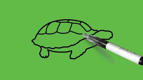 Draw tortoise reptile animal in brown and green color with spotty hard shells Vidéo 220082553