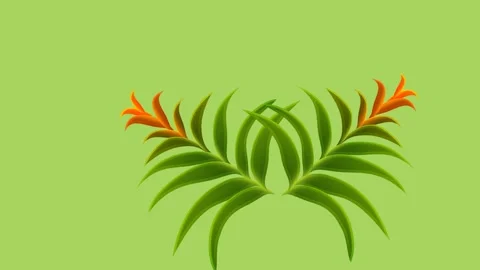 Draw unique red rose flower decorate with bud and colourful leaf on green back Video stock 319827701