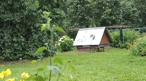 Draw-well Stock-Footage 11396339