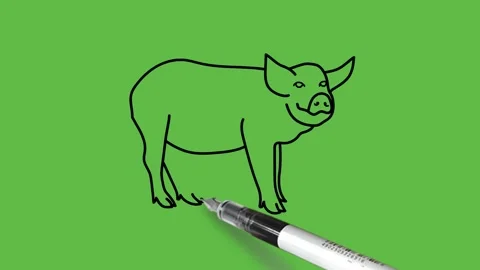 Draw wild boar in grey, pink color with pink mouth, paws and black outline Video stock 220082102