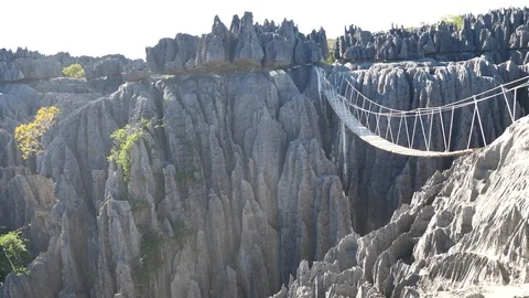 Drawbridge Between Surreal Limestone Forest Peaks, Tsingy, Madagascar Stock Footage 117506888