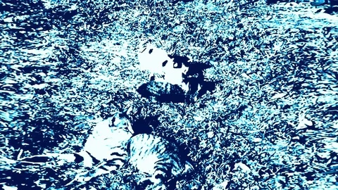 Drawed Cats Playing On The Grass In Blue Artwork Stock Footage 92262897
