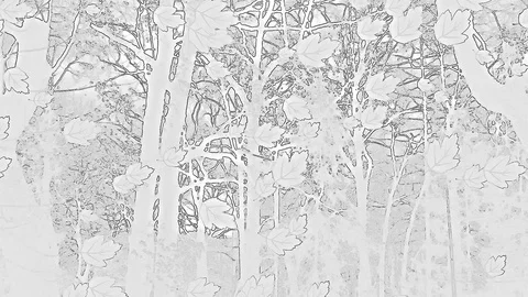 Drawed Falling Leaves In Abstract Artwork On Monochrome Picture Stock Footage 91300726