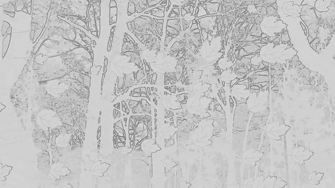 Drawed Falling Leaves In Abstract Artwork On In Black White Tones Stock Footage 91300734