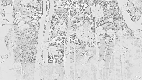 Drawed Falling Leaves In Abstract Artwork On In Black White Colors Video stock 91300740