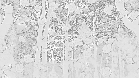 Drawed Falling Leaves In Abstract Artwork On Black White Picture Stock Footage 91300957