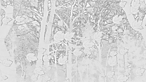 Drawed Falling Leaves In Abstract Artwork On Monochrome Sketch Stock Footage 91332793