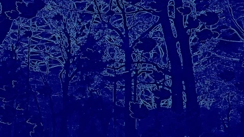 Drawed Falling Leaves In Abstract Night Artwork On Dark Blue Tones Stock Footage 91321973