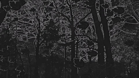Drawed Falling Leaves In Abstract Night Artwork On Gray Black Tones Stock Footage 91322106