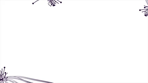 Drawing Abstract Lines loop animation on white background Stock Footage 247937000