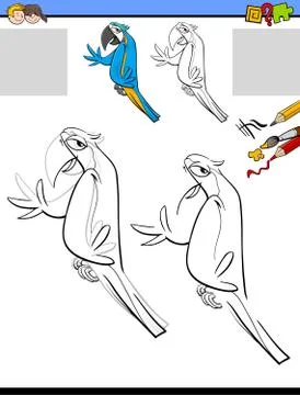Drawing and coloring activity with macaw bird Ilustración de archivo