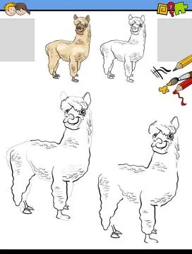 Drawing and coloring task with cartoon llama or alpaca Cartoon illustratio... Stock Photos