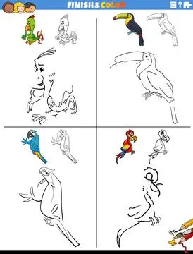 Drawing and coloring worksheets set with comic birds Ilustración de archivo