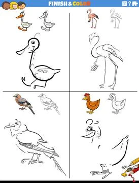 Drawing and coloring worksheets set with comic birds Stock Illustration