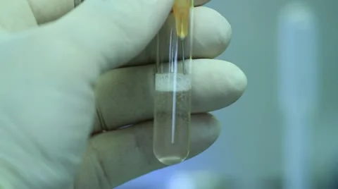 Drawing and plunging needle into test tube Stock Footage 20450205