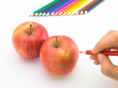 Drawing Apple Stock Photos