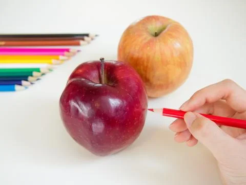 Drawing Apple Stock Photos