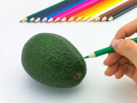 Drawing Avocado Stock Photos
