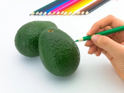 Drawing Avocado Foto stock