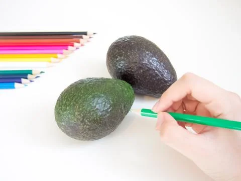 Drawing Avocado Foto stock