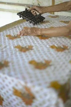 Drawing Batik Tulis Stock Photos