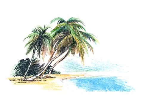 Drawing beach with palm trees Stock Illustration