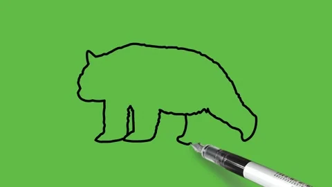 Drawing a bear in black and blue  colour combination on abstract green back Vidéo 154672591