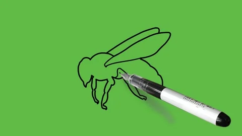 Drawing a bee in black and blue colour combination on abstract green background 動画素材 154670693