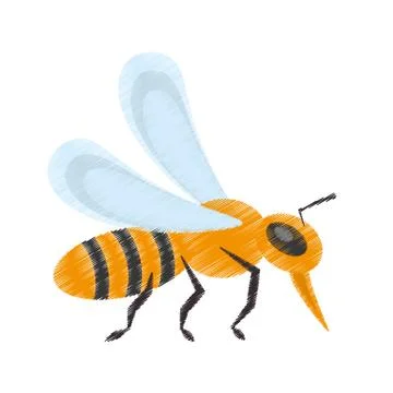 Drawing bee insect flower pollen Stock Illustration