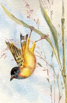 Drawing of a bird on stalk of grass on background of blue sky 库存插图
