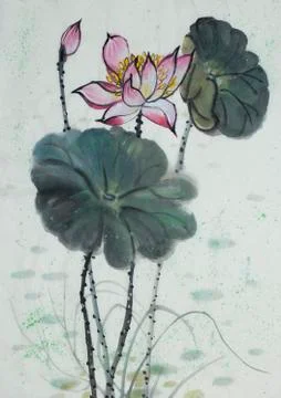 Drawing of a blossoming lotus Stock Illustration