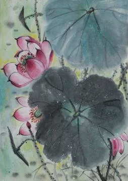 Drawing of a blossoming lotus Stock Illustration