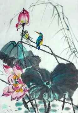 Drawing of a blossoming lotus Stock Illustration