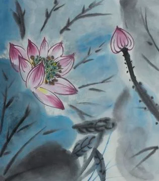 Drawing of a blossoming lotus Stock Illustration