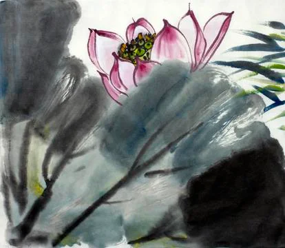 Drawing of a blossoming lotus Illustrazione stock