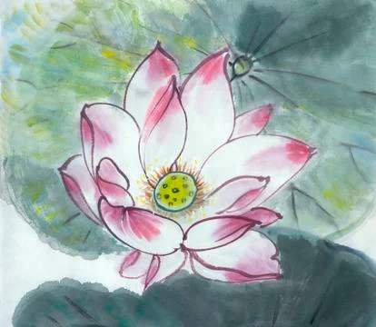 Drawing of a blossoming lotus Illustrazione stock