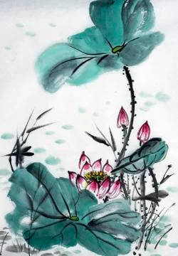 Drawing of a blossoming lotus Stock Illustration