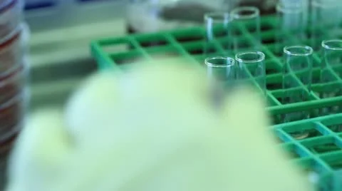 Drawing blue samples from test tubes and then Q-tip swab Stock Footage 20447790