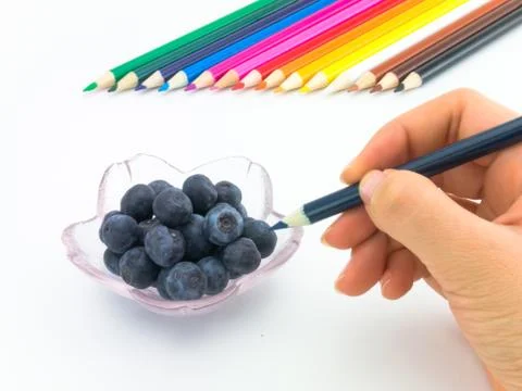 Drawing Blueberry Stock Photos