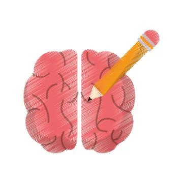 Drawing brain idea pencil knowledge Stock Illustration