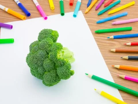 Drawing Broccoli Stock Photos