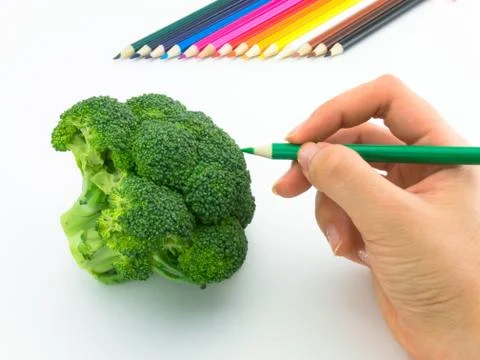 Drawing Broccoli Stock Photos