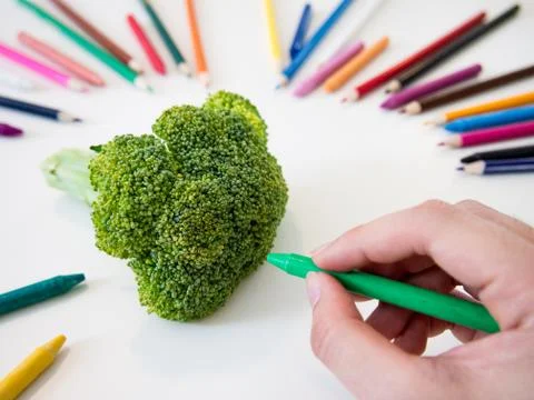 Drawing Broccoli Stock Photos