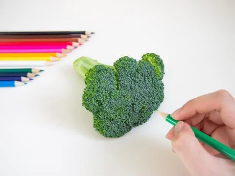 Drawing Broccoli Stock Photos